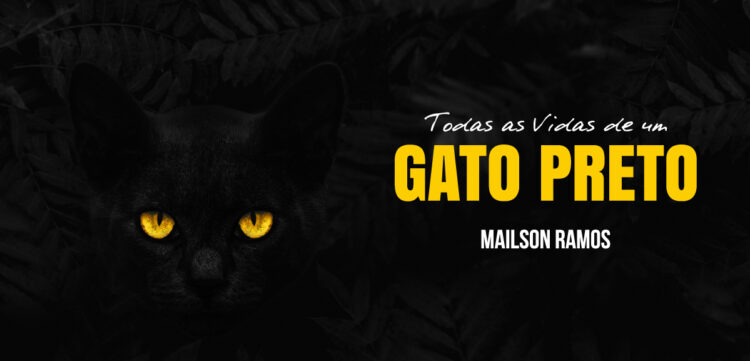 Todas as Vidas de um Gato preto